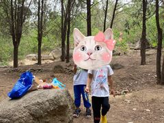-白水寺森林公园