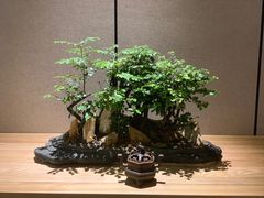 -成都锦城原舍酒店(锦里武侯祠店)