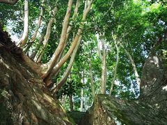 -楠溪江风景名胜区