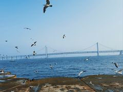 -星海广场