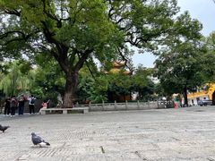 -宝通禅寺