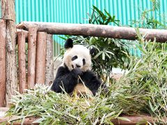 -乐和乐都主题乐园