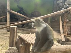 -北京野生动物园