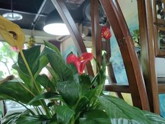 -陈生记黑鱼馆·20年活鱼现杀(宁波鼓楼店)