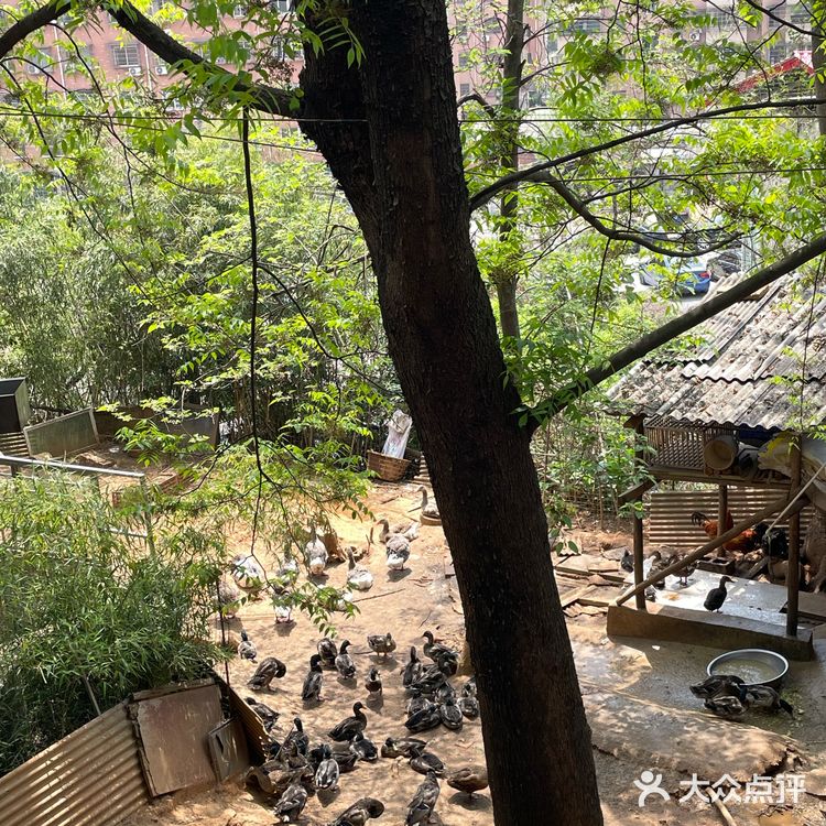 真心建议：来湘潭一定要吃的私房菜！
