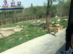 -西安秦岭野生动物园
