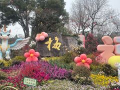 -无锡梅园公园