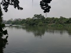 -小洲村