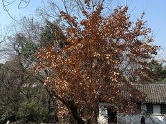 -无锡梅园公园