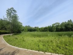 -翠湖国家城市湿地公园