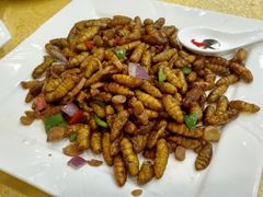 -九大簋家宴(北京路店)