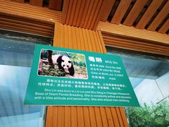 -柳州市动物园