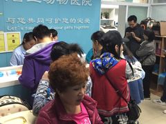 -纳吉亚猫专科动物诊疗中心(蒋宅口分院)