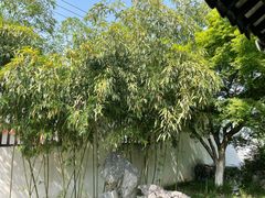 -常熟方塔园