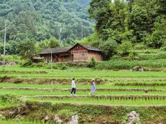 -梧桐山风景名胜区
