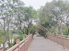 -海上田园