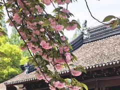 -苏州文庙(姑苏区)