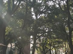 -上海市控江中学