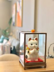 -乐橙肌愈·屏障修护专研所
