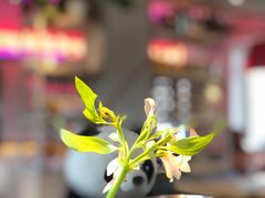 -幸薈飯堂