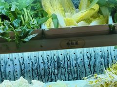 -每味每客·重庆麻辣烫(拓展大厦店)