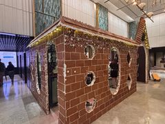 -新加坡乌节希尔顿酒店 (SG Clean)