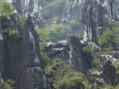 -玉石林风景区