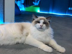 -零纪元VR体验馆·桌游(黄浦店)