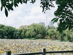 -云溪植物园