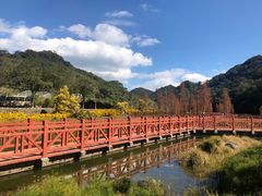 -广州市石门国家森林公园