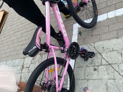 -道路口单车爱瓦士dahon大行