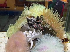 -太平洋海底世界