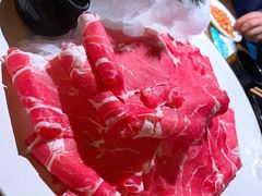 -九鼎轩脆毛肚火锅(三钢里店)