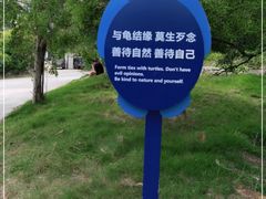 -广东惠东海龟国家级自然保护区