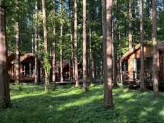 -黄海国家森林公园