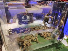 -宴立方海鲜自助(义乌万达广场店)