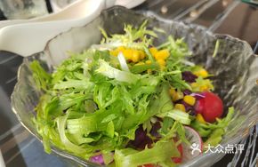 Vegetable Light Salad