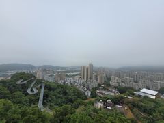 -福道