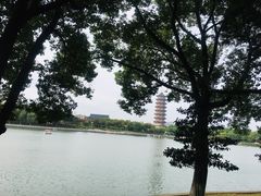 -葛仙湖公园