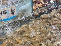 -旺角小渔村(幸福中路店)