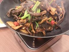 -新乾隆酒楼(帝景园店)