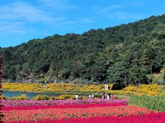 -广州市石门国家森林公园