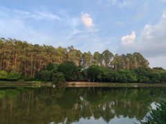 -南国桃园旅游度假区