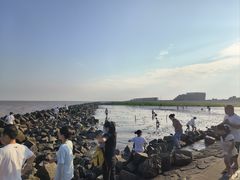 -南汇嘴观海公园