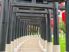 -云幽谷旅游区