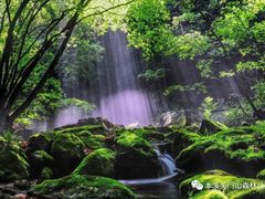 -关门山森林公园