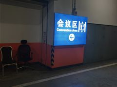 -国家会议中心大酒店-地上停车场