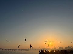 -星海广场