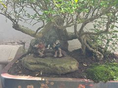 -茶米人台湾料理·精致快简餐