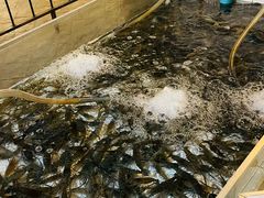 -芭提雅Amporn Seafood自助餐厅